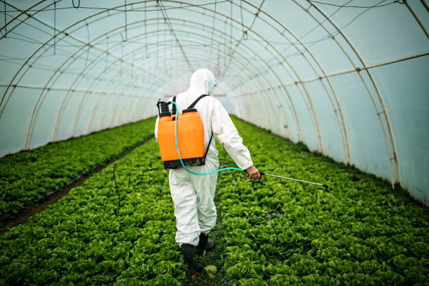 Best Affordable Pest Control Services  in Bartonsville, MD