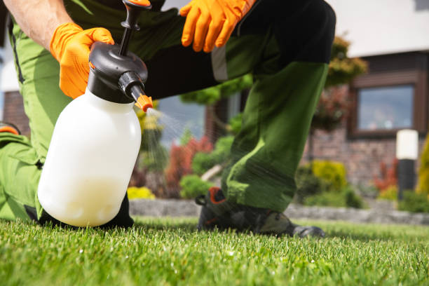 Best Mosquito Control Services  in Bartonsville, MD
