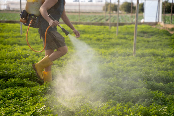 Best Pest Control for Homes  in Bartonsville, MD