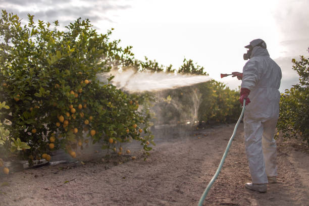 Best Affordable Pest Control Services  in Bartonsville, MD