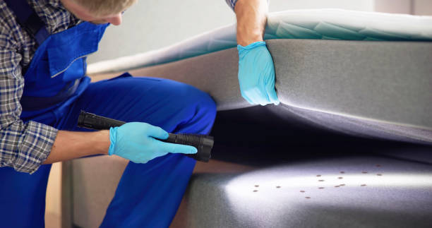 Best Rat Extermination Near Me  in Bartonsville, MD