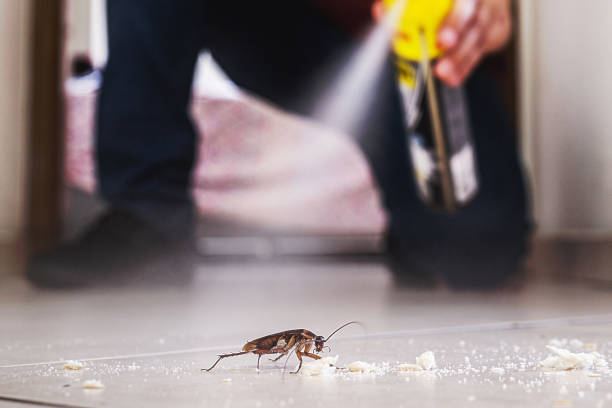 Best Wasp Removal Services  in Bartonsville, MD
