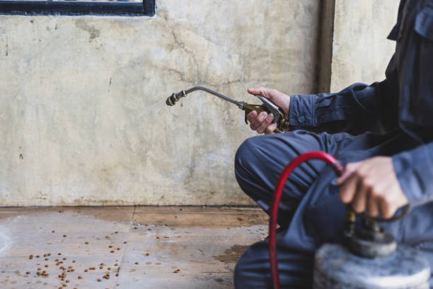 Best Wasp Removal Services  in Bartonsville, MD