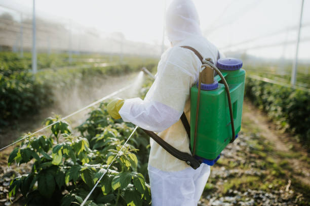 Best Pest Prevention Services  in Bartonsville, MD
